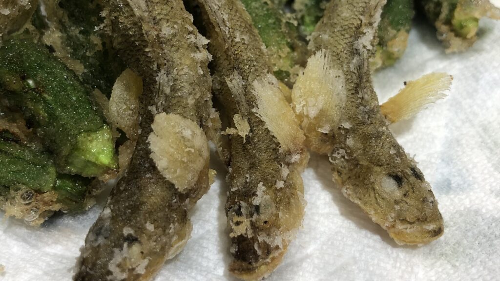 南房総富浦の岡本川で釣ったハゼを素焼きにしました。