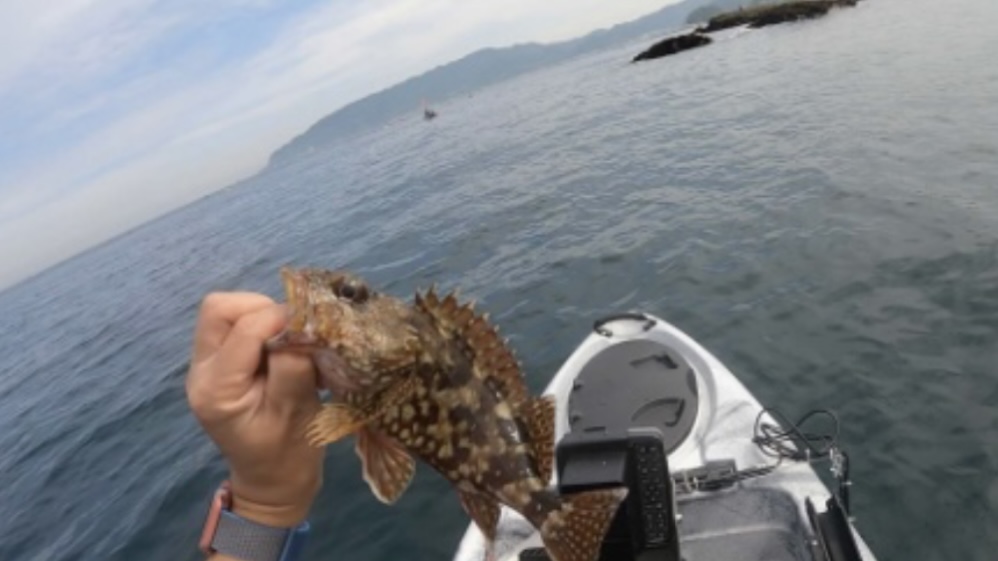 千葉県南房総鋸南でのカヤックフィッシング、釣り、カサゴ