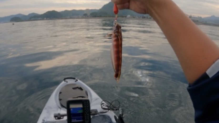 千葉県南房総鋸南でのカヤックフィッシング、釣り、トラギス