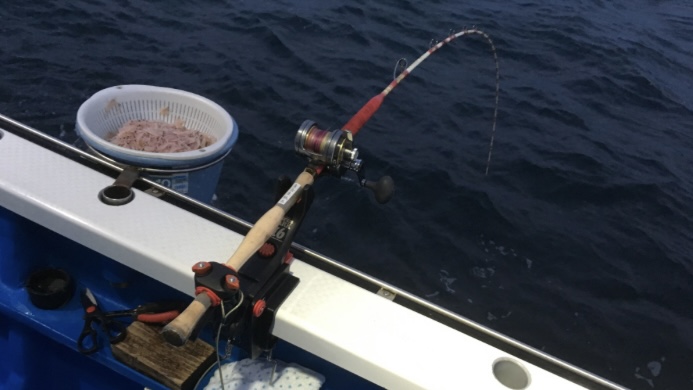 千葉県南房総富浦港から出船の共栄丸、マダイ狙いで出船です。