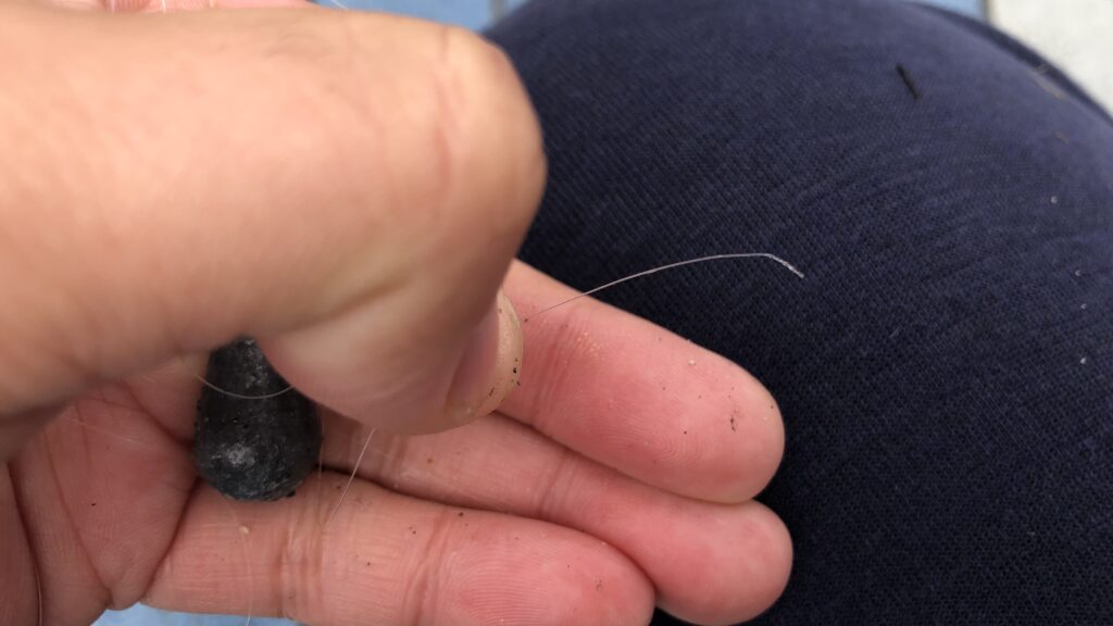 ハゼ釣り、フグに切られたハリス