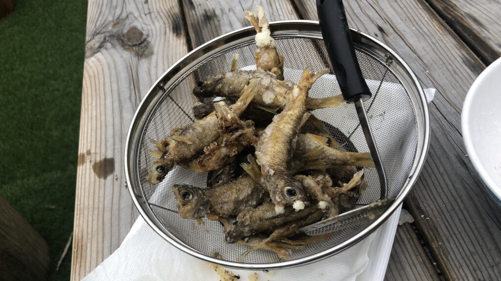 薪ストーブで揚げた小ムツ