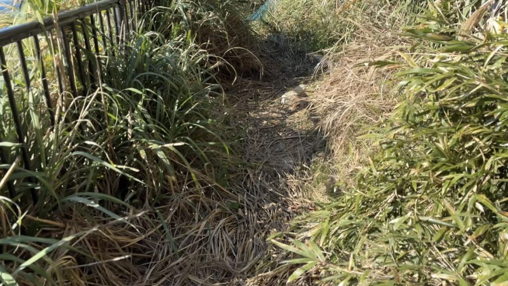 富津、鋸南、明鐘岬