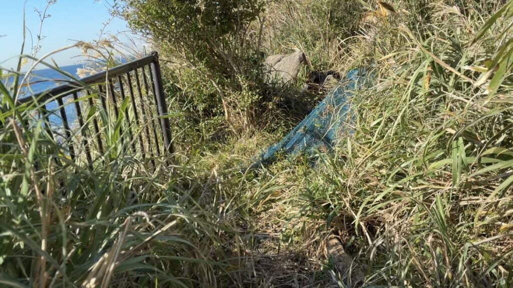 富津、鋸南、明鐘岬