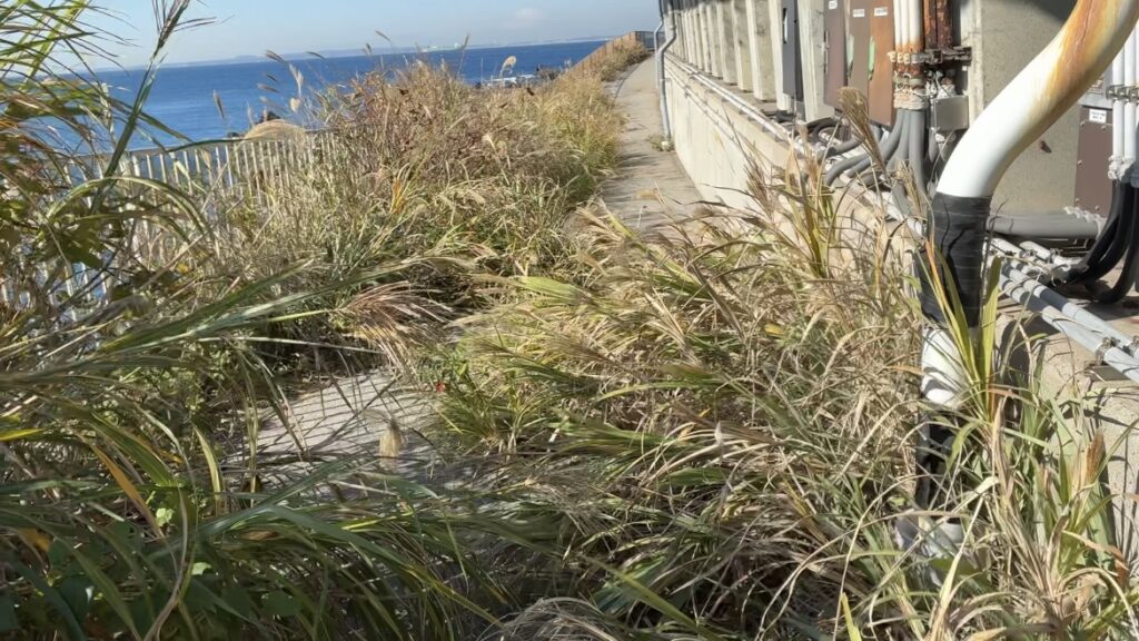 富津、鋸南、明鐘岬