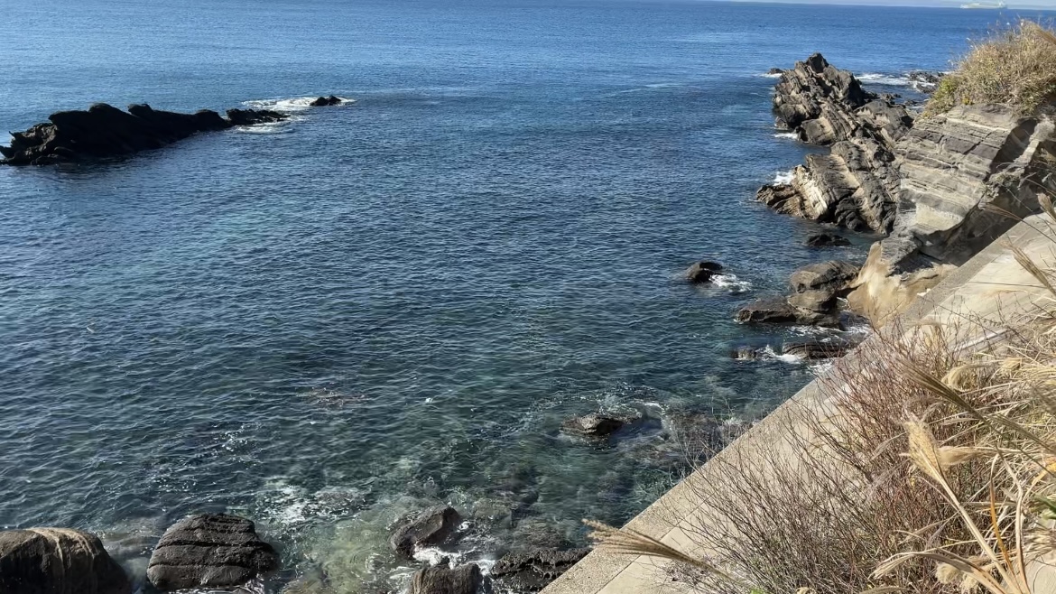 鋸南、富津、明鐘岬、磯