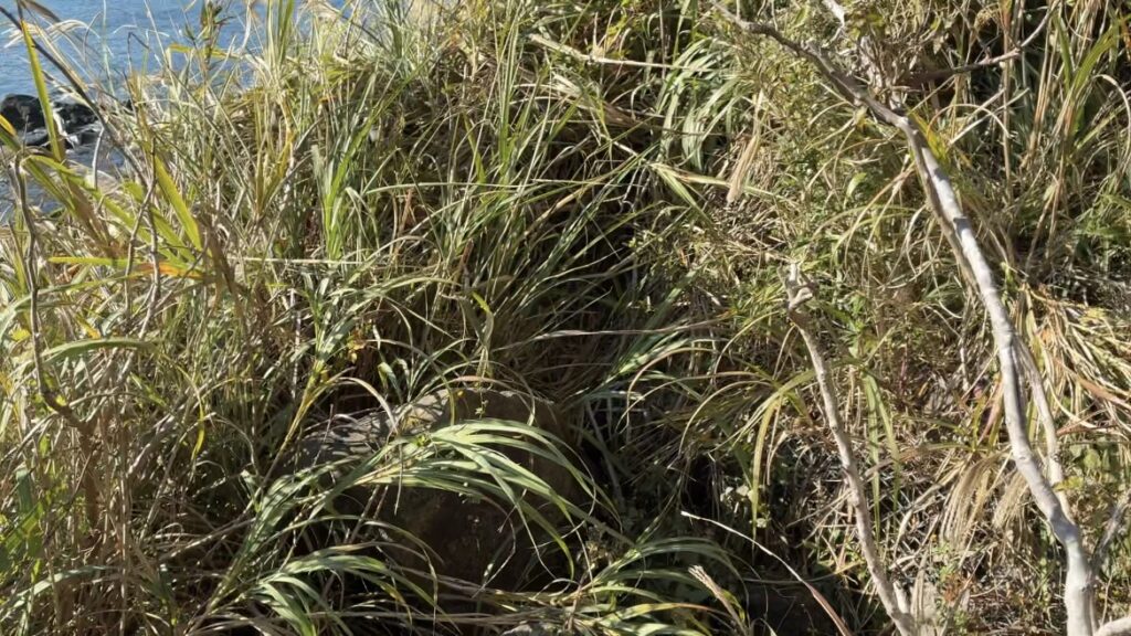 富津、鋸南、明鐘岬