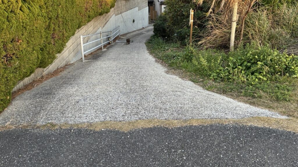 洲崎、砂浜へ続く道