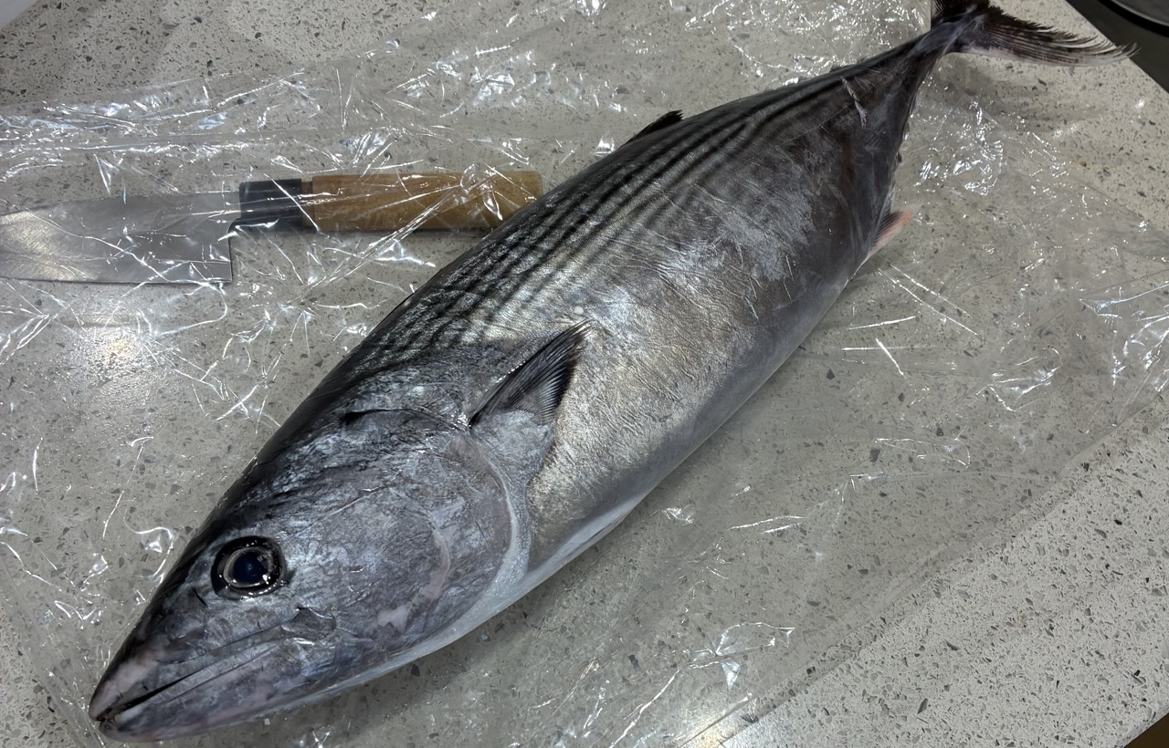 道の駅で400円で買ったハガツオ